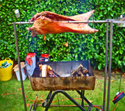 spit roast catering